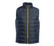NAVY / GOLD