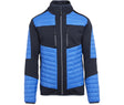 STRONG BLUE / NAVY