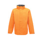 SUN ORANGE/SEAL GREY