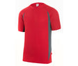 RED/GREY